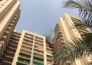 पाम ओलंपिया