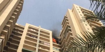 पाम ओलंपिया