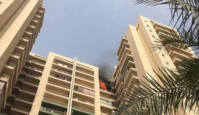 पाम ओलंपिया