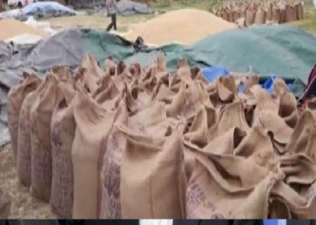 निर्यात