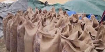 निर्यात