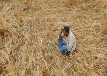 किसान क्रेडिट कार्ड