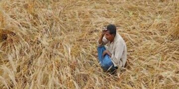 किसान क्रेडिट कार्ड