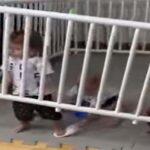 Children Break the Jail