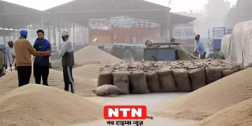 Wheat procurement in district mandis