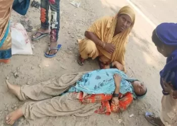 गर्भवती