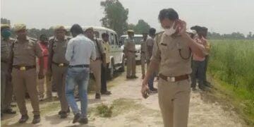 झाड़ियों