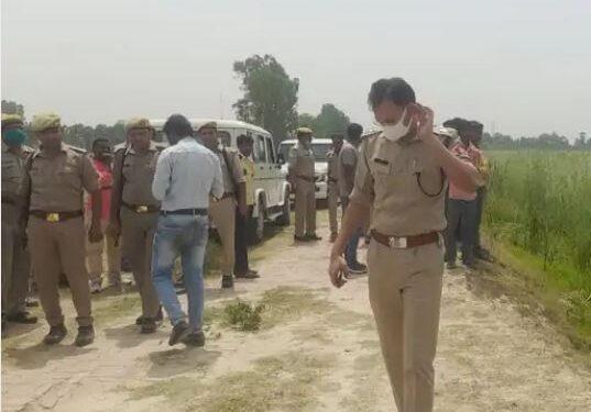 झाड़ियों