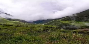 यूनेस्को