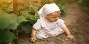 मिट्टी