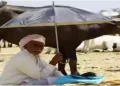 धूप