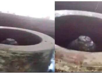 अविमुक्तेश्वरानंद