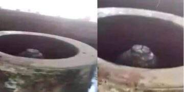 अविमुक्तेश्वरानंद