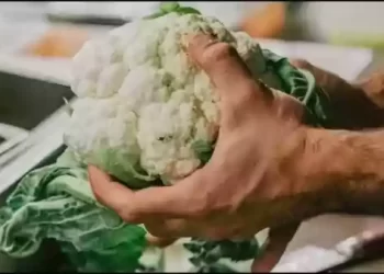 फूलगोभी