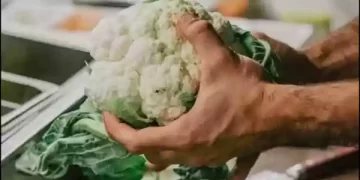 फूलगोभी