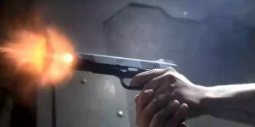 गोलियों