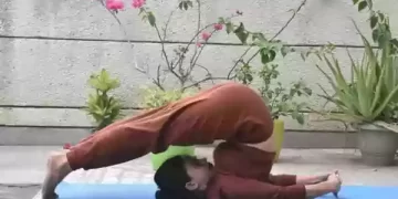 हलासन