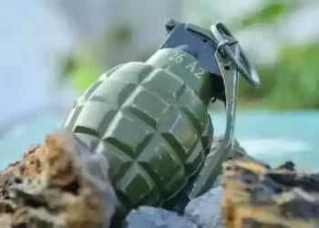 hand grenade
