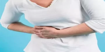 लीवर