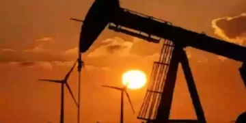 Oil