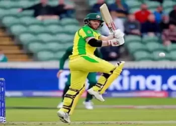 डेविड वार्नर