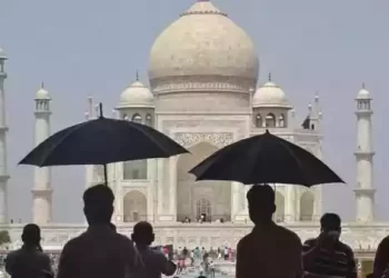 योग दिवस