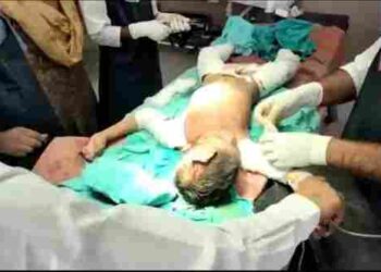 खूंखार कुत्तों