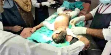 खूंखार कुत्तों