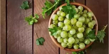 आंवला