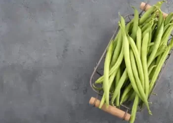 Vegetable Reduces Cholestero