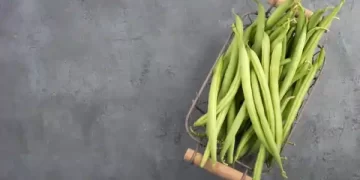 Vegetable Reduces Cholestero