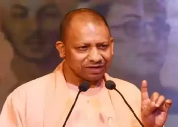 रिपोर्ट