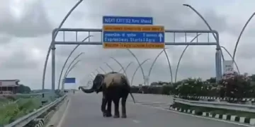 Agra Lucknow Expressway