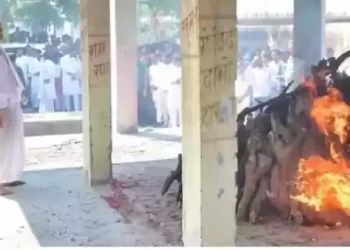 साधना गुप्ता