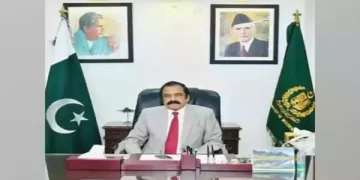IMF