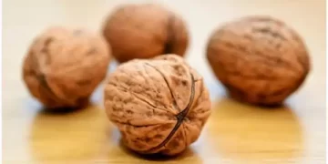 Walnuts Benefits