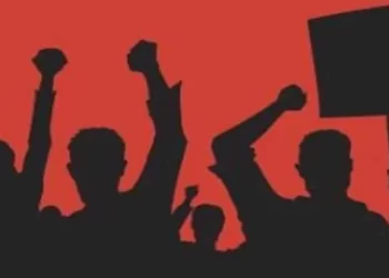 बिजली कर्मी