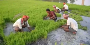 PM KISAN