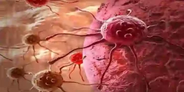 बीटा-कैरोटीन