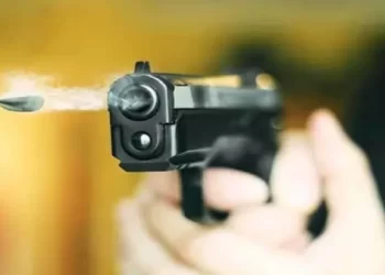 भारतीय मूल