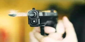 भारतीय मूल