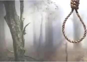 पेड़ से लटकता