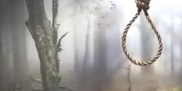 पेड़ से लटकता