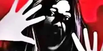 सिटी फॉरेस्ट