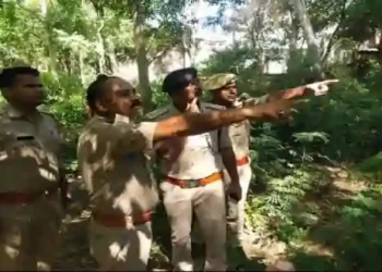 सिर कटी लाश