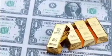 विदेशी मुद्रा भंडार