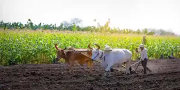 कृषि लोन