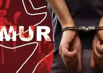 वन अधिकारी