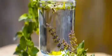 Tulsi
