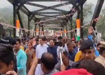 डबल लेन पुल